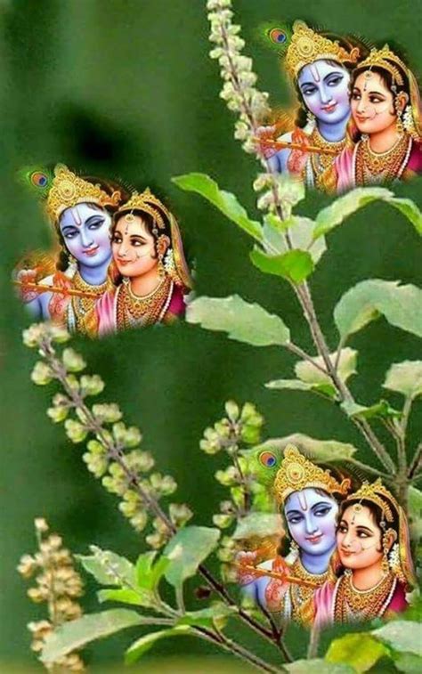 tulasi compilation|daily tulasi pooja with slokas – Madhwa.